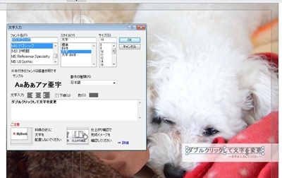 フォトブック 文字入れ.jpg