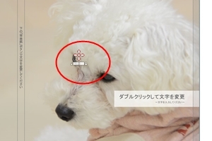 フォトブック 表紙・裏表紙 写真の移動.jpg